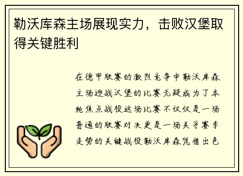 勒沃库森主场展现实力，击败汉堡取得关键胜利