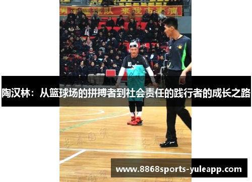 陶汉林：从篮球场的拼搏者到社会责任的践行者的成长之路